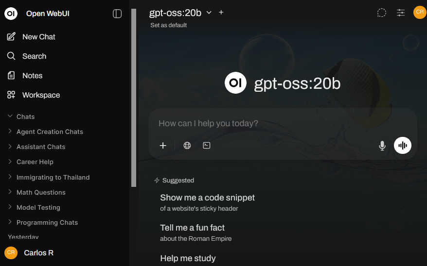 screenshot of the open web UI landing page